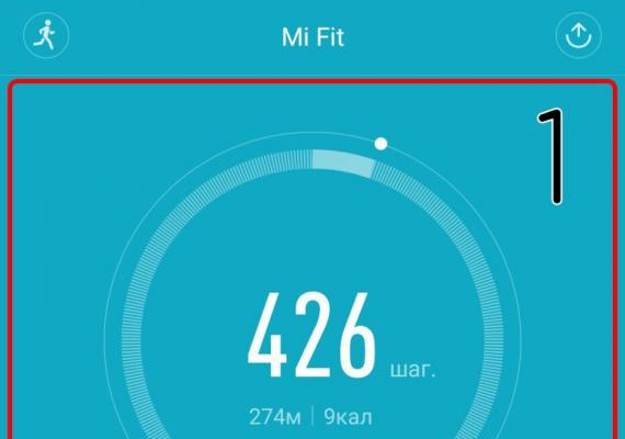 Настройка Mi Band – подробное описание приложения Mi Fit Mi band инструкция по применению